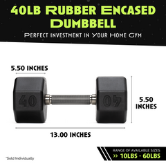 Octo Rubber Dumbbell Individual Weight Training Fitness Equipment