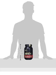 Optimum Nutrition Gold Standard 100% Protein Powder Supplement