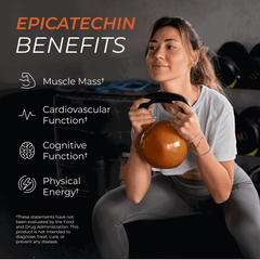 Epicatechin Supplement Capsules Fitness Training Dietary Support