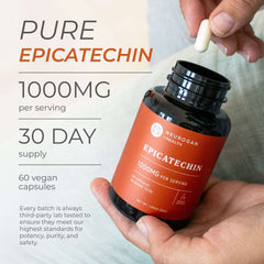 Epicatechin Supplement Capsules Fitness Training Dietary Support