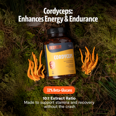 Organic Cordyceps Mushroom Supplement Capsules Dietary Support
