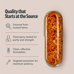 Organic Cordyceps Mushroom Supplement Capsules Dietary Support