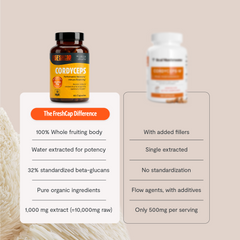 Organic Cordyceps Mushroom Supplement Capsules Dietary Support