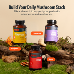 Organic Cordyceps Mushroom Supplement Capsules Dietary Support