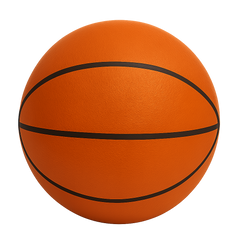 Quiet Bounce Basketball Indoor Training Sports Ball