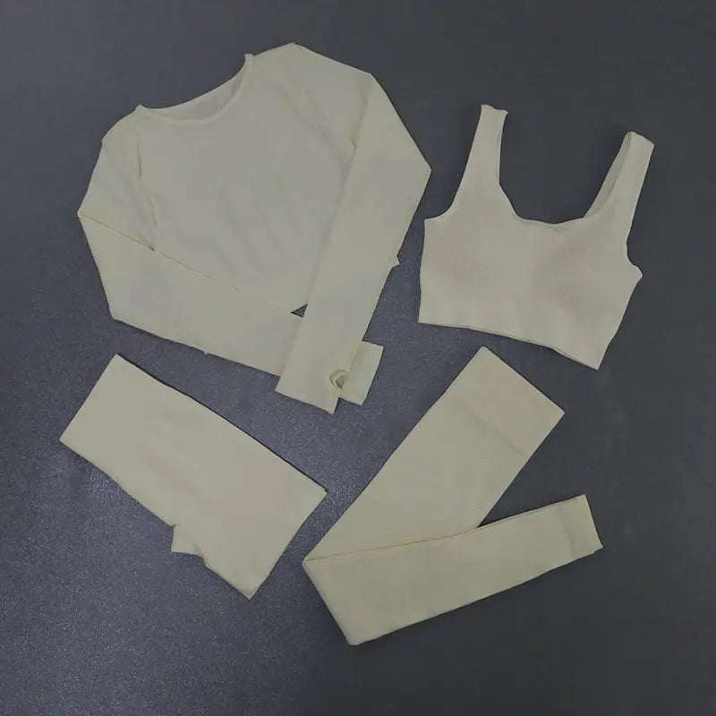 Women's Ribbed Seamless Activewear Sports Bra Leggings Set