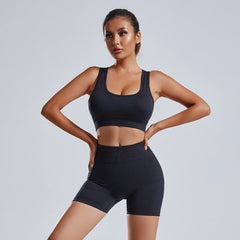Women's 2-Piece Seamless Yoga Vest Shorts Workout Set