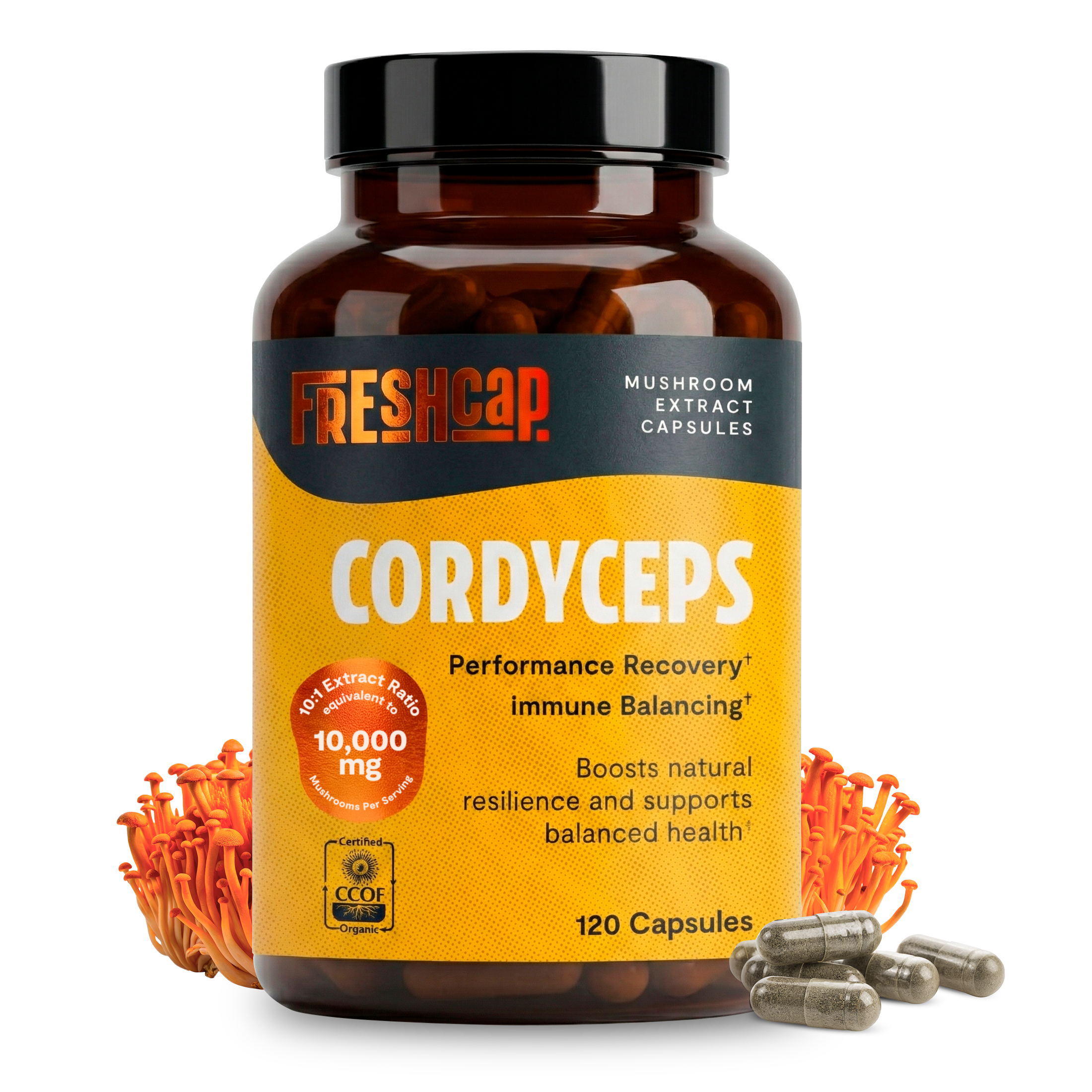 Organic Cordyceps Mushroom Supplement Capsules Dietary Support
