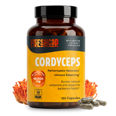 Organic Cordyceps Mushroom Supplement Capsules Dietary Support