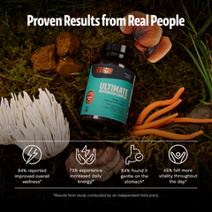 Organic Mushroom Complex Supplement Capsules Dietary Support