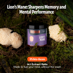 Organic Mushroom Complex Supplement Capsules Dietary Support