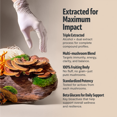 Organic Mushroom Complex Supplement Capsules Dietary Support