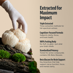 Organic Mushroom Complex Supplement Capsules Dietary Support