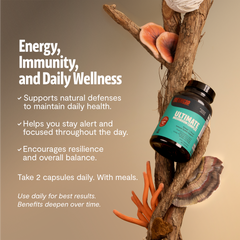 Organic Mushroom Complex Supplement Capsules Dietary Support