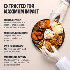 Organic Mushroom Complex Supplement Capsules Dietary Support