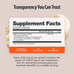 Organic Mushroom Complex Supplement Capsules Dietary Support