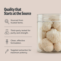 Organic Mushroom Complex Supplement Capsules Dietary Support