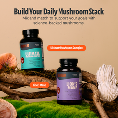 Organic Mushroom Complex Supplement Capsules Dietary Support