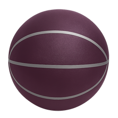 Quiet Bounce Basketball Indoor Training Sports Ball